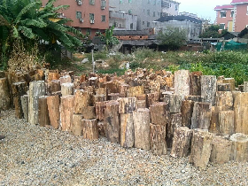 Petrified Wood Block