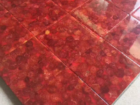 Red Coral Stone Tile