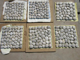White Polished Pebble Stone Tiles