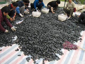 Black Pebble stone Selecting