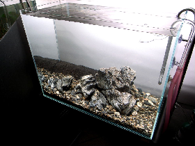 Aquarium Rock
