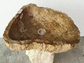 Petrified Wood Wash Bowl