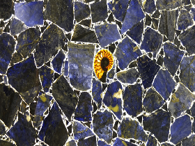Sodalite Blue Fossil Tile