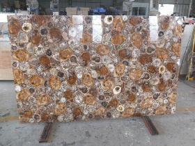 Putrified Wood Gemstone Composite