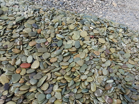 Flat River Pebble for Lanscaping