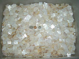 Loose Mother of Pearl Square Mosaic Chips