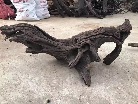 Big Driftwood for Reptile Pet
