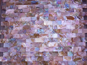Sea Shell Mosaic