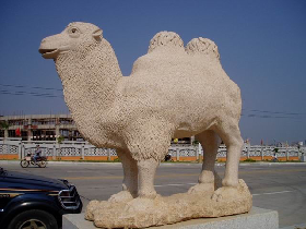 Carved Camel Stone