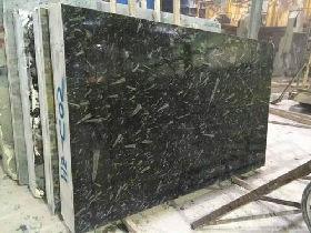 Fossil Black Marble