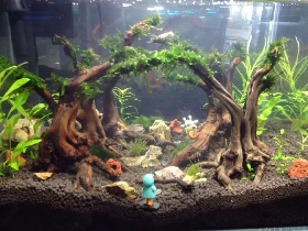 Slim Wood Ideal for Small Fish Tank