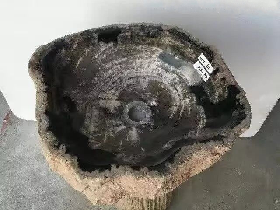 Petrified Wood Washbasin