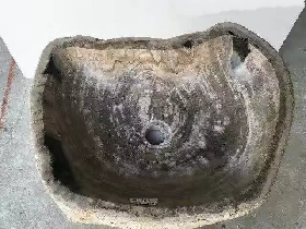 Petrified Wood Vessel Sink