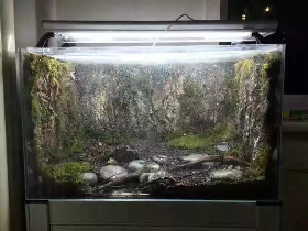 Natural Cork Fish Tank Decoration