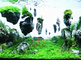 Green Aquarium Slate Rock for Aquatic Weed