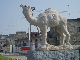 Camel Stone Carving