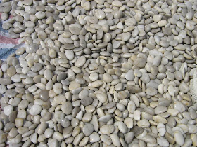 White Pebble stone
